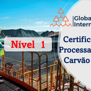 Processamento de Carvão Mineral (NIVEL 1)
