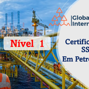 Saúde, Segurança e Meio Ambiente em Petróleo e Gás (NIVEL 1)